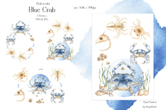 Watercolor Blue Crab Life Cycle Set Bundle Product Image 5