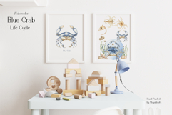 Watercolor Blue Crab Life Cycle Set Bundle Product Image 6