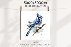 Blue Jay Birds Clipart Savanna PNG Nursery Art Scrapbooking Image Watercolor  Transparent Print invitation t-shirt designs sublimation kids printable digital watercolor cute Blue Jay, Safari birds bird clipart, sublimation nursery drawing Savanna