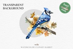 Blue Jay Birds Clipart Savanna PNG Nursery Art Scrapbooking Image Watercolor  Transparent Print invitation t-shirt designs sublimation kids printable digital watercolor cute Blue Jay, Safari birds bird clipart, sublimation nursery drawing Savanna