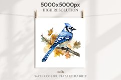 Blue Jay Birds Clipart Savanna PNG Nursery Art Scrapbooking Image Watercolor  Transparent Print invitation t-shirt designs sublimation kids printable digital watercolor cute Blue Jay, Safari birds bird clipart, sublimation nursery drawing Savanna