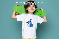 watercolor cute Blue Jay, Safari birds bird clipart, sublimation nursery drawing Savanna Blue Jay Birds Clipart Savanna PNG Nursery Art Scrapbooking Image Watercolor  Transparent Print invitation t-shirt designs sublimation kids printable digital