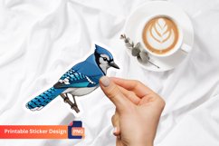 Blue Jay Sticker, Bird Sticker, Nature Sticker Product Image 1