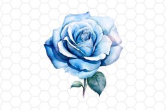 Blue Watercolor Rose Clipart