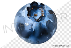 Single Whole Blueberry PNG Clipart Fruit Watercolor Illust Product Image 1