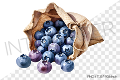 Blueberries Spilling out of Burlap Sack PNG Clipart Fruit Product Image 1