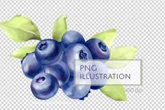 Hand-Drawn Blueberry Illustration PNG Product Image 2