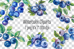 Blueberries Watercolor Cliparts Png Product Image 1