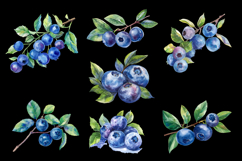 Blueberries Watercolor Cliparts Png Product Image 3