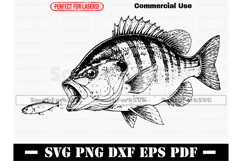 Bluegill Panfish Sunfish Design SVG PNG DXF EPS PDF Product Image 1