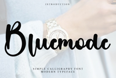 Bluemode Product Image 1