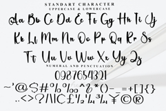 Bluemode Product Image 5