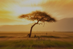 Blur Motion Effect for Posters Product Image 4