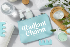 Blush Angeles - Modern Alternate Serif Font Product Image 4