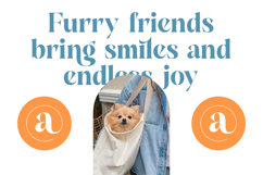 Blush Angeles - Modern Alternate Serif Font Product Image 14