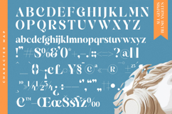 Blush Angeles - Modern Alternate Serif Font Product Image 19