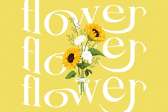 Blush Honey - Modern Alternate Serif Font Product Image 3