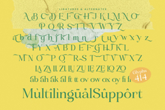 Blush Honey - Modern Alternate Serif Font Product Image 19