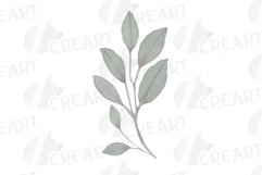 Watercolor Yellow and blush pink flowers, leaves clip art Product Image 12