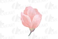 Blush watercolor floral wedding rose and greenery design. Product Image 8