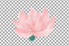 Blush watercolor floral wedding rose and greenery design. Product Image 14