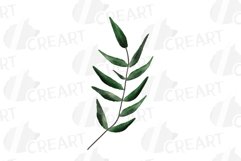 Blush watercolor floral wedding rose and greenery design. Product Image 9