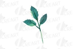 Blush watercolor floral wedding rose and greenery design. Product Image 6