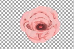Blush watercolor floral wedding rose and greenery design. Product Image 13