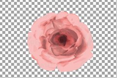 Blush watercolor floral wedding rose and greenery design. Product Image 16
