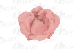 Blush watercolor floral wedding rose and greenery design. Product Image 7