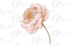 Watercolour blush floral wedding clipart, pink flowers leafs Product Image 8