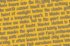 Bluster Elation - Stylish Blackletter Font Product Image 14
