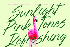 Blynkas Scripte Aesthetic Handwritten Font Product Image 2