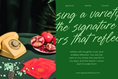 Blynkas Scripte Aesthetic Handwritten Font Product Image 3