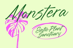 Blynkas Scripte Aesthetic Handwritten Font Product Image 4