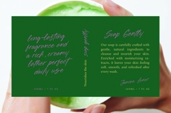 Blynkas Scripte Aesthetic Handwritten Font Product Image 6