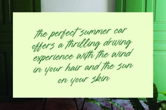 Blynkas Scripte Aesthetic Handwritten Font Product Image 7