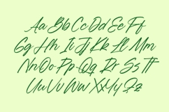 Blynkas Scripte Aesthetic Handwritten Font Product Image 10