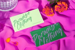 Blynkas Scripte Aesthetic Handwritten Font Product Image 12