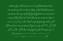 Blynkas Scripte Aesthetic Handwritten Font Product Image 13