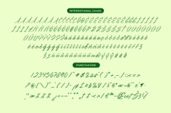 Blynkas Scripte Aesthetic Handwritten Font Product Image 14