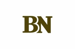 BN logo design vector template Product Image 1