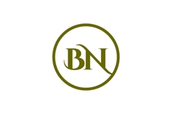 BN Logo Design Product Image 1