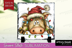 Boar Tangled In Christmas Lights Slate PNG Funny Xmas Square Product Image 1