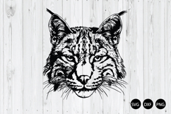 Bobcat SVG, Wild Cat SVG, Cat SVG, Animal SVG Product Image 1