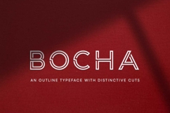 Bocha Product Image 1