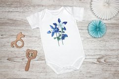 bodysuit aquilegia flowers watercolor