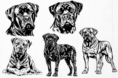 Boerboel SVG Bundle, 10 Dog Designs, South African Mastiff Product Image 3