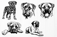 Boerboel SVG Bundle, 10 Dog Designs, South African Mastiff Product Image 2