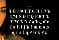 Bogent Product Image 9
